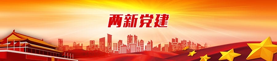 兩新黨建